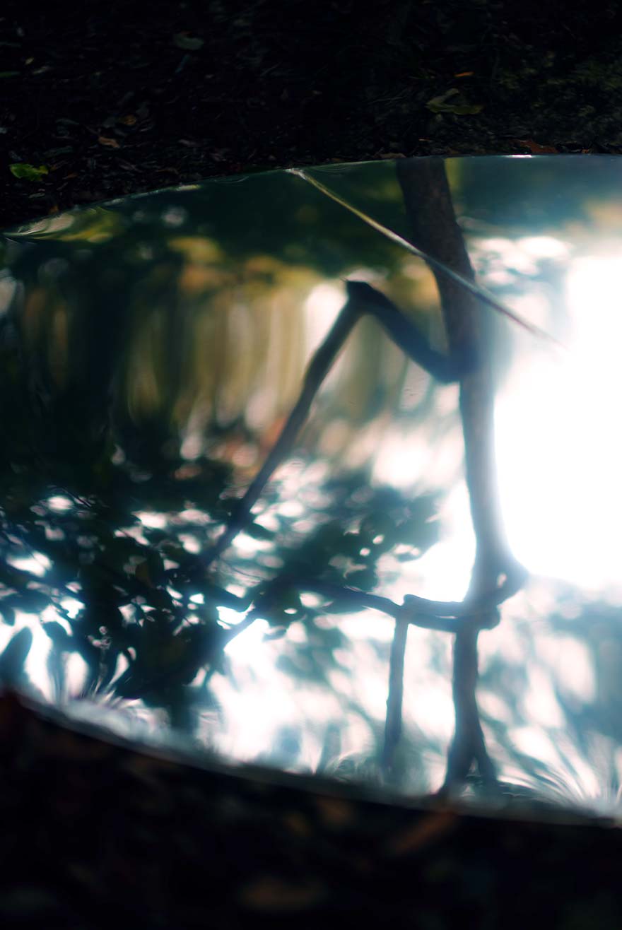 キービジュアル