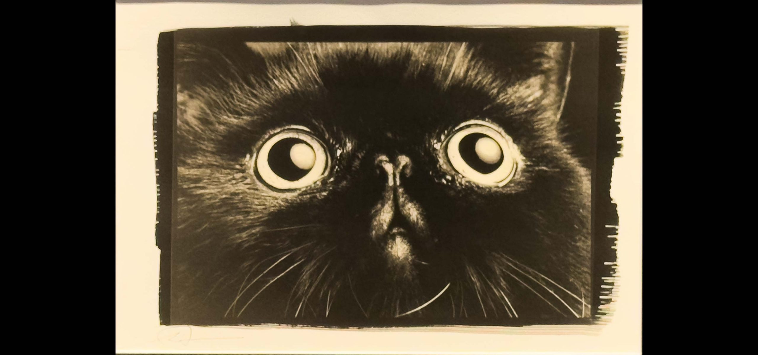 キービジュアル