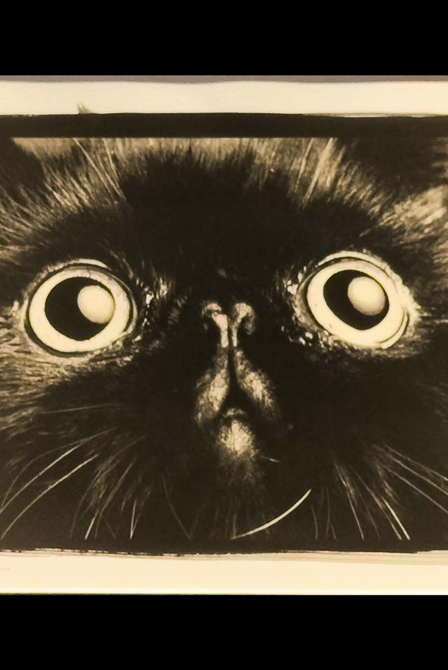 キービジュアル