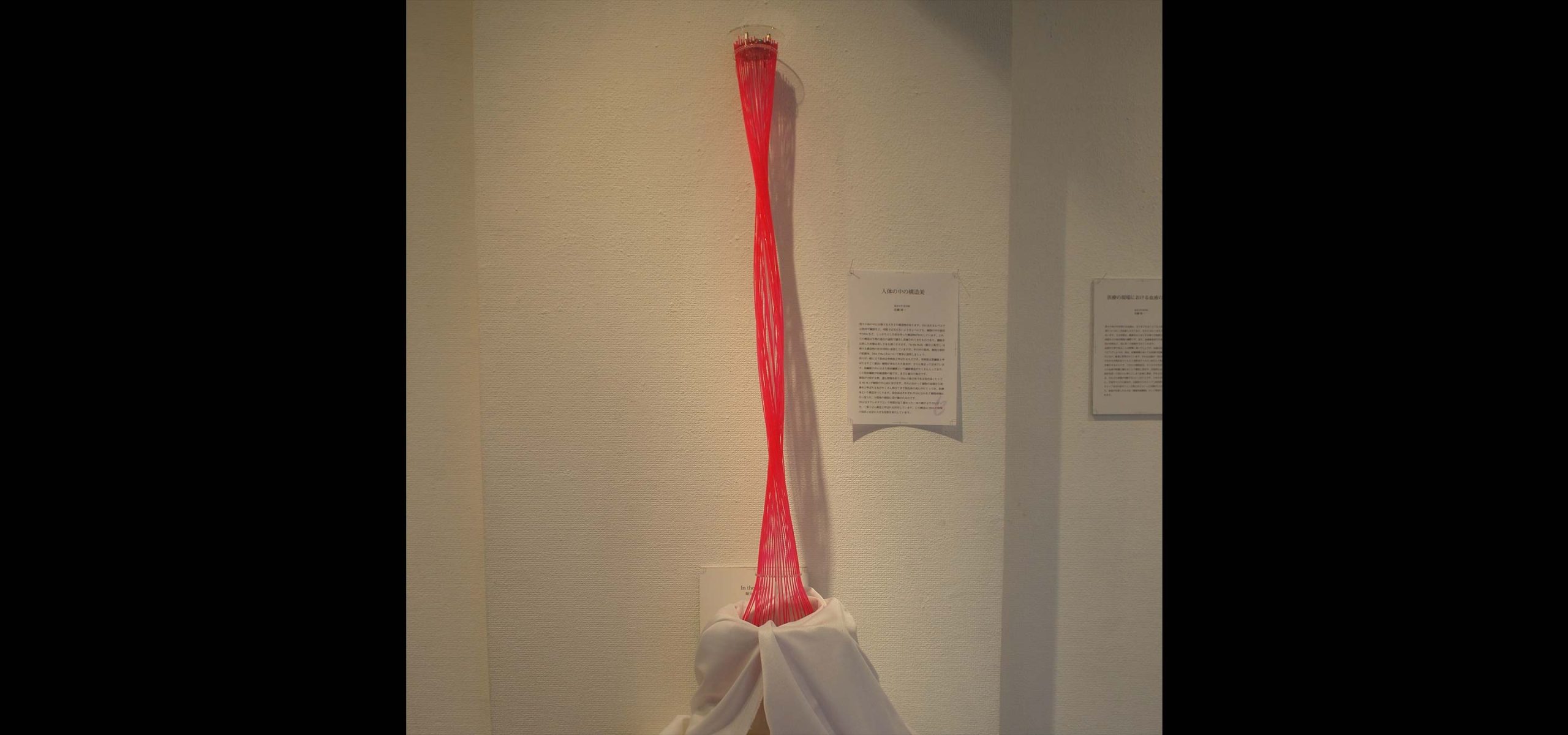 キービジュアル