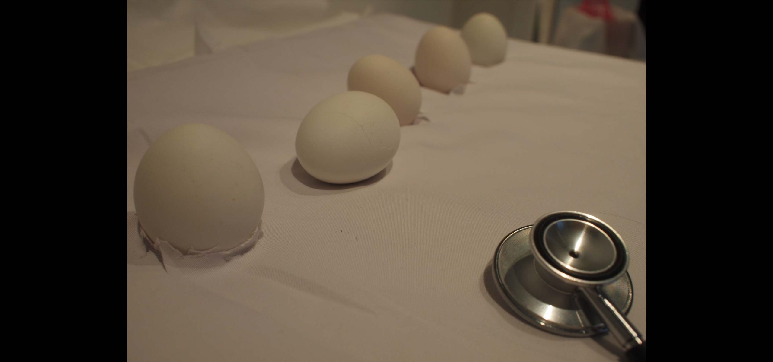 キービジュアル